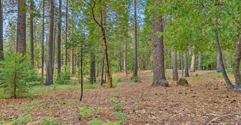 14014 Red Dog, Nevada City, CA 95959 Photo