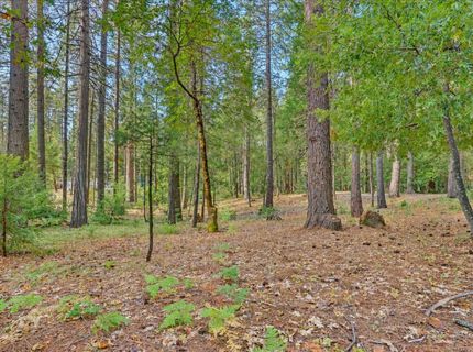 14014 Red Dog, Nevada City, CA 95959 Photo