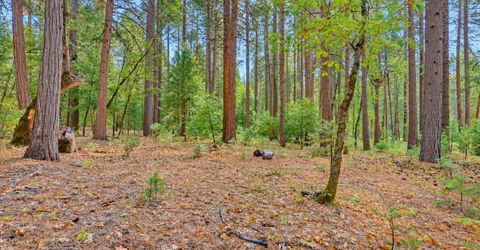 14014 Red Dog, Nevada City, CA 95959 Photo
