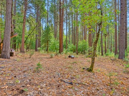 14014 Red Dog, Nevada City, CA 95959 Photo