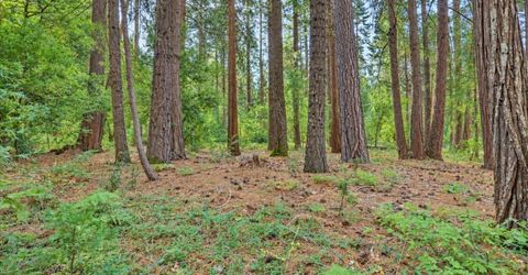 14014 Red Dog, Nevada City, CA 95959 Photo