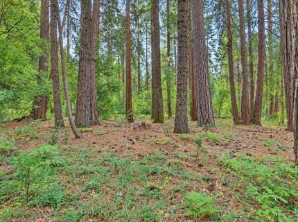 14014 Red Dog, Nevada City, CA 95959 Photo
