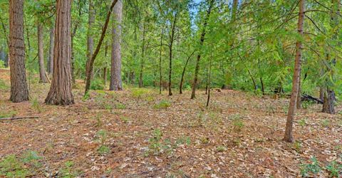 14014 Red Dog, Nevada City, CA 95959 Photo
