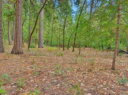 14014 Red Dog, Nevada City, CA 95959 Photo