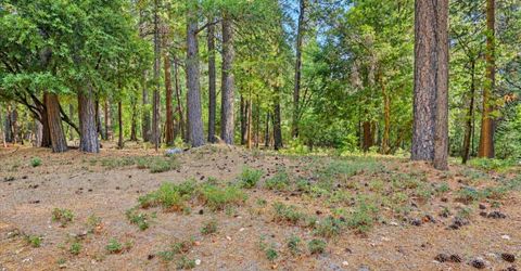 14014 Red Dog, Nevada City, CA 95959 Photo