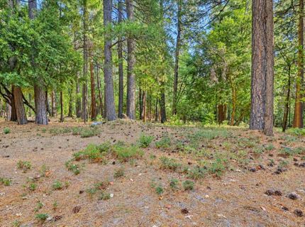14014 Red Dog, Nevada City, CA 95959 Photo