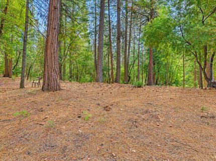 14014 Red Dog, Nevada City, CA 95959 Photo