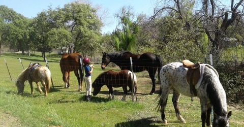 23514 Patino Rd, Smartville, CA 95977 Photo