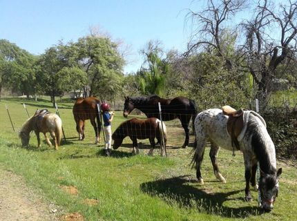 23514 Patino Rd, Smartville, CA 95977 Photo