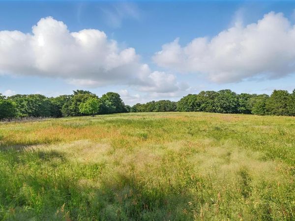 91 acres COUNTY ROAD 189, Gainesville, TX 76240