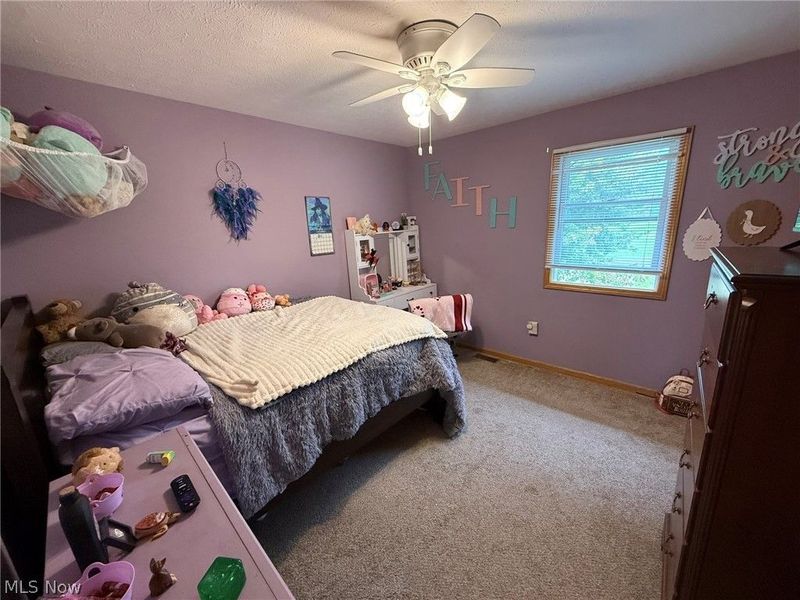 10274 Laurens Drive NE, Bolivar, OH 44612 Photo 20
