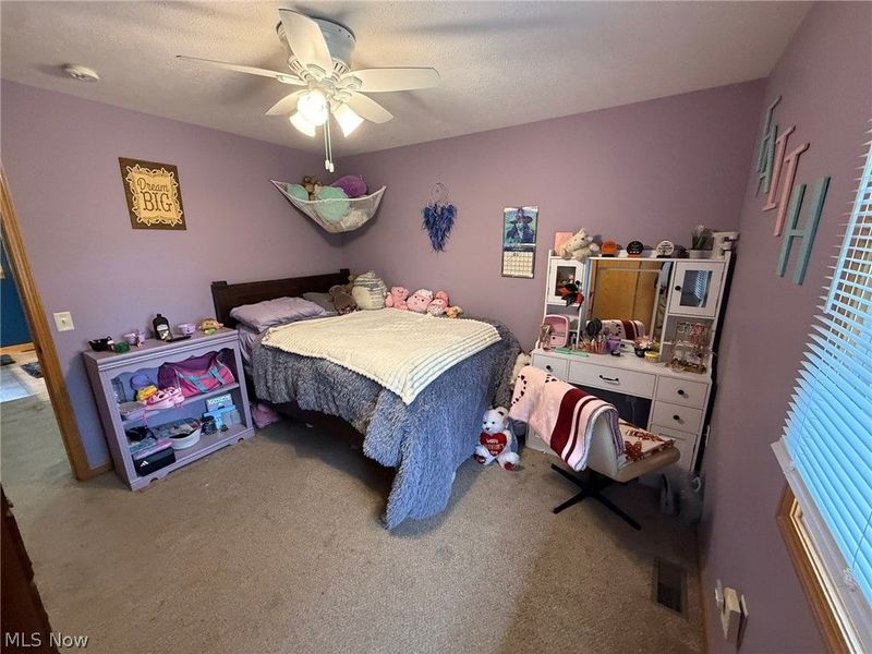 10274 Laurens Drive NE, Bolivar, OH 44612 Photo 21