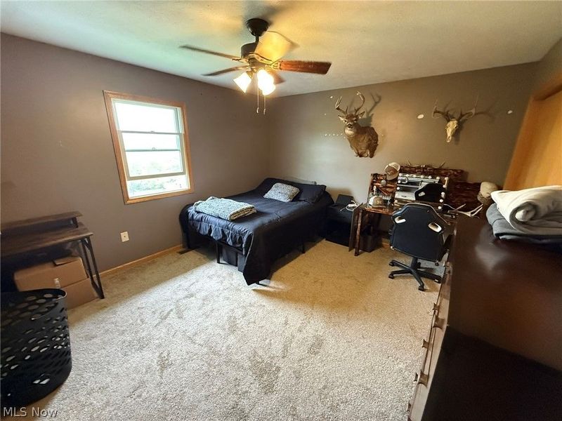 10274 Laurens Drive NE, Bolivar, OH 44612 Photo 24