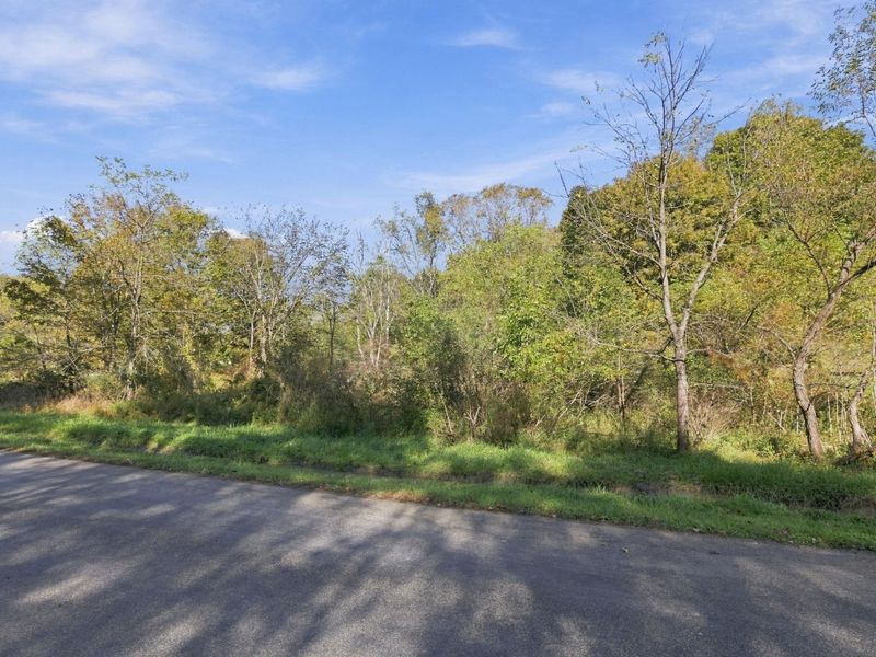 0 Apple Valley Drive, Unit LOT 208, Howard, OH 43028 Photo 7