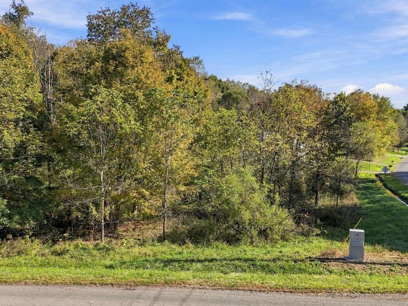 0 Apple Valley Drive, Unit LOT 208, Howard, OH 43028 Photo 8