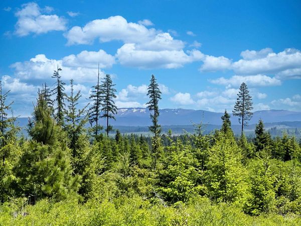 0 Timberline Heights, Parcel 4, Weippe, ID 83553