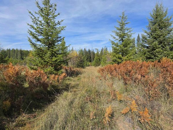0 Timberline Heights, Parcel 5, Weippe, ID 83553