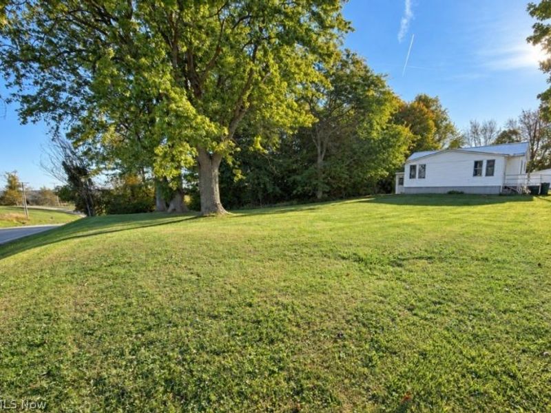 8080 State Route 151, Rayland, OH 43943 Photo 3