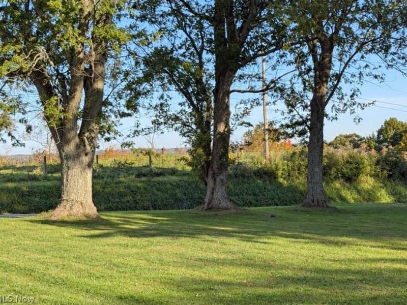 8080 State Route 151, Rayland, OH 43943 Photo 6