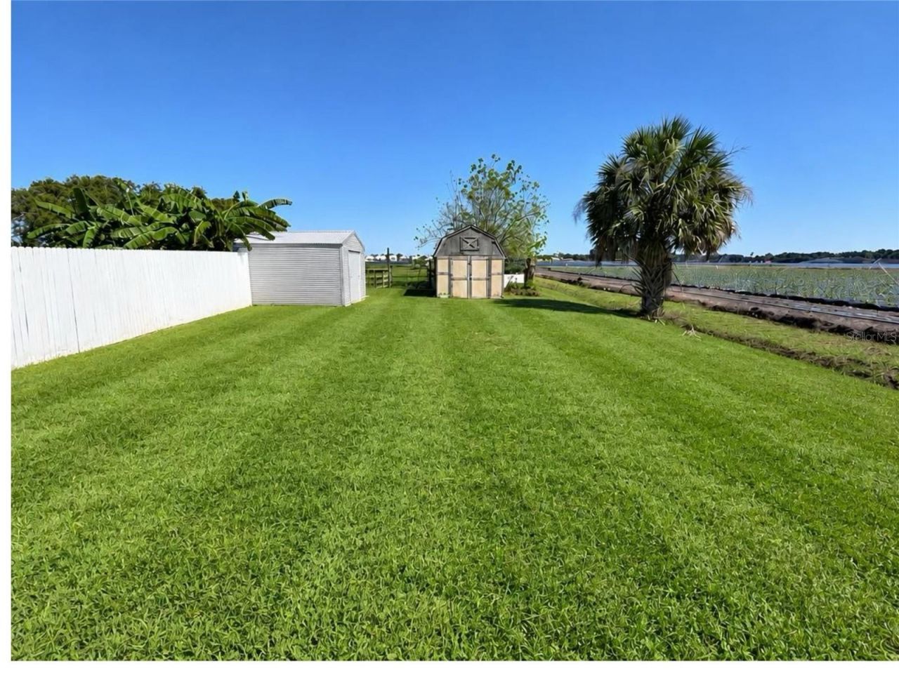 1301 Colson Road, Plant City, FL 33567 Photo