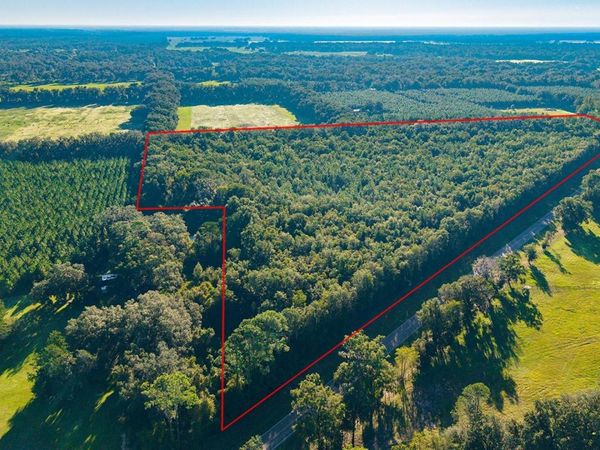 TBD 00 NW COUNTY ROAD 339 , TRENTON, FL 32693