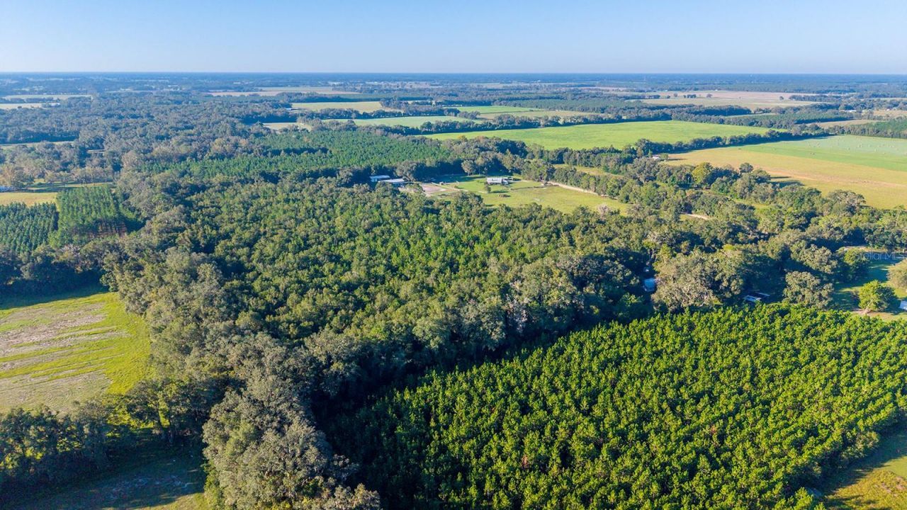 Tbd 00 NW County Road 339 , Trenton, FL 32693 Photo