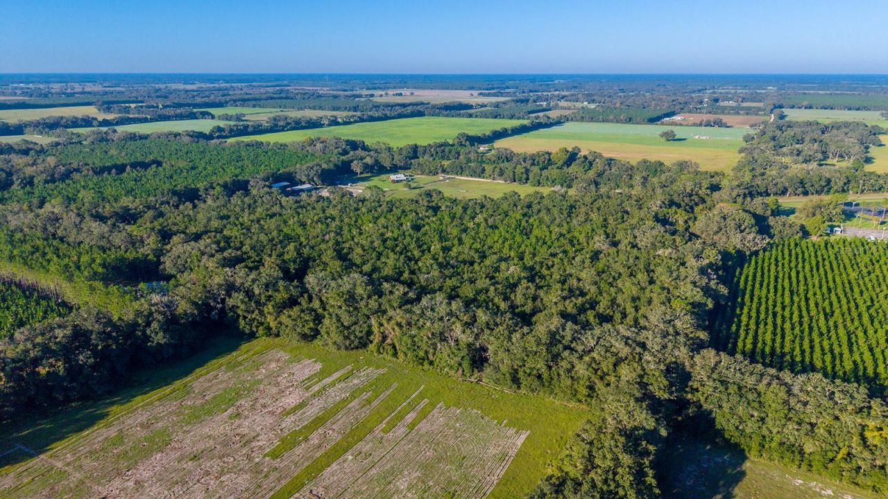 Tbd 00 NW County Road 339 , Trenton, FL 32693 Photo