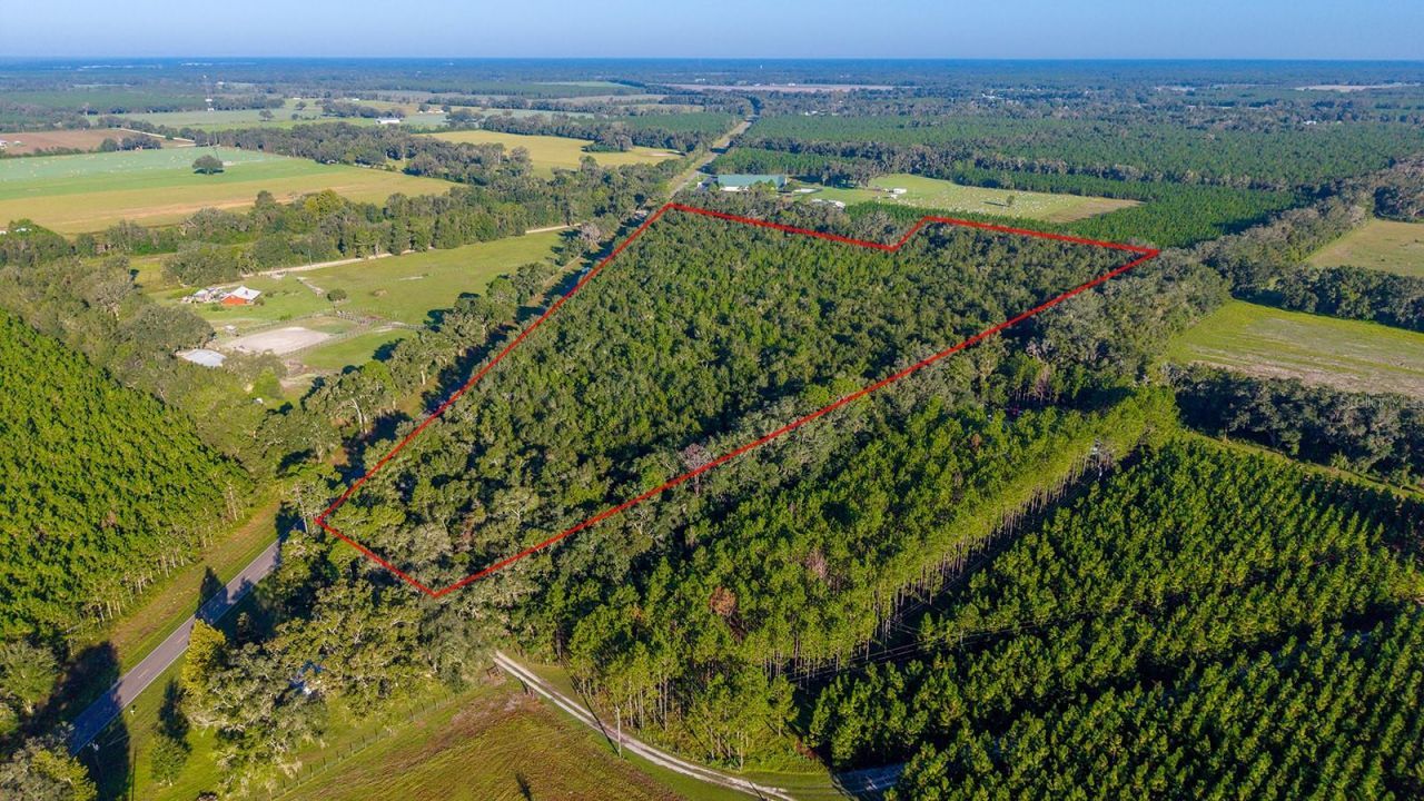 Tbd 00 NW County Road 339 , Trenton, FL 32693 Photo