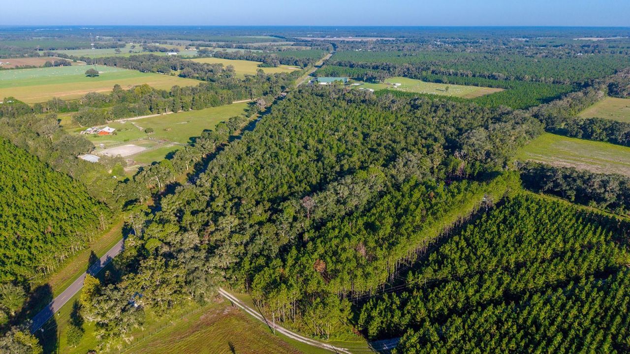 Tbd 00 NW County Road 339 , Trenton, FL 32693 Photo