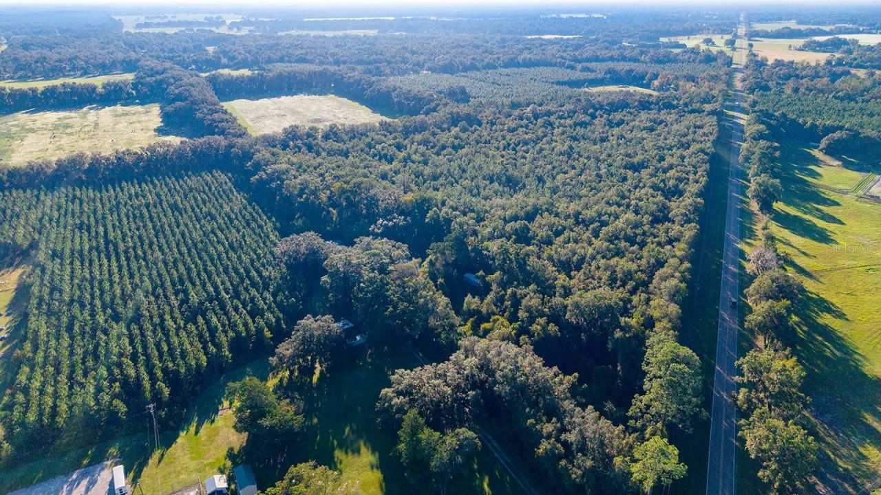 Tbd 00 NW County Road 339 , Trenton, FL 32693 Photo