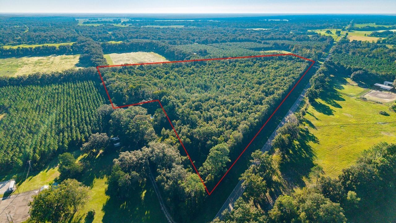 Tbd 00 NW County Road 339 , Trenton, FL 32693 Photo