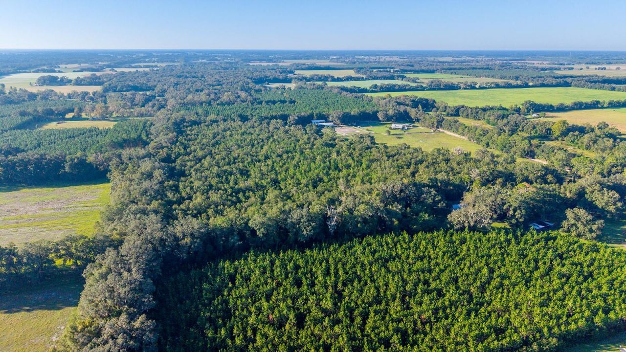 Tbd 00 NW County Road 339 , Trenton, FL 32693 Photo