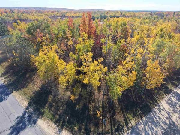 11600 Pencil Lake Road, Elmira, MI 49730