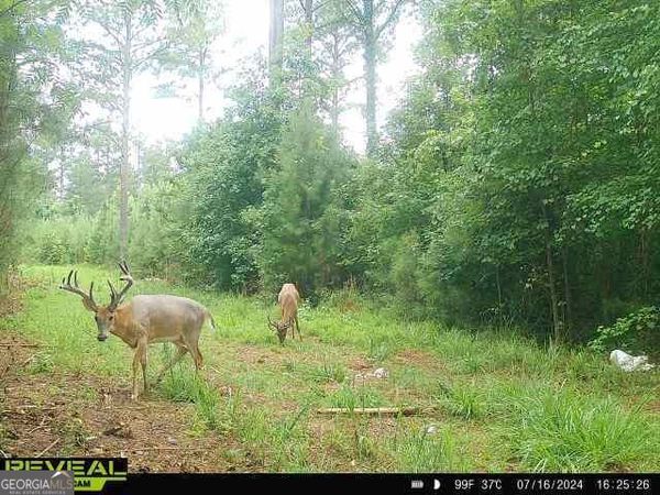 0 Seven Islands Road, Madison, GA 30650
