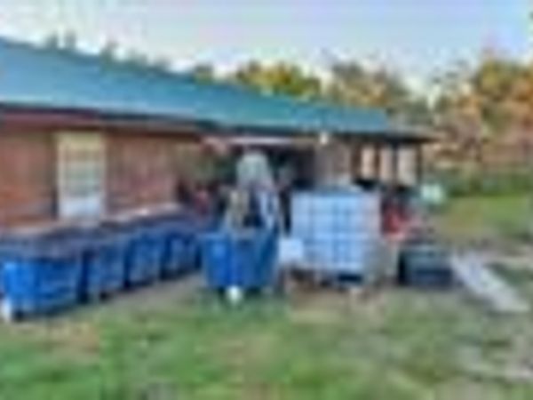 2029 Marion County 4019 , Everton, AR 72633