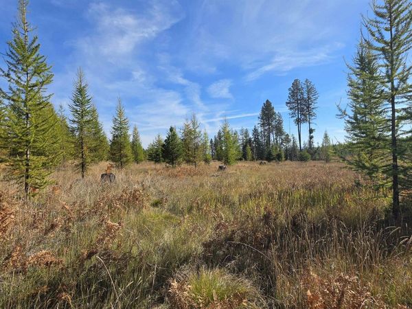 0 Timberline Heights, Parcel D, Weippe, ID 83553