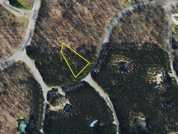 13 Obervalden Drive N, Bellaire, MI 49615