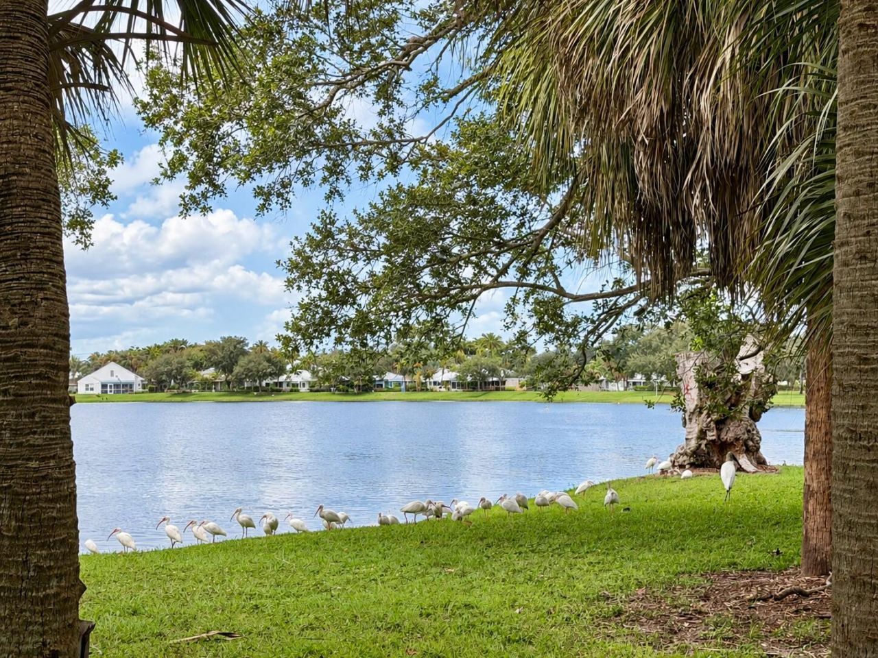 1081 Bedford Avenue, Palm Beach Gardens, FL 33403 Photo