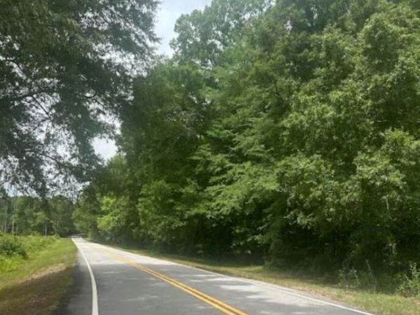 LOT 1 (40+/- AC Line creek Rd, Senoia, GA 30276