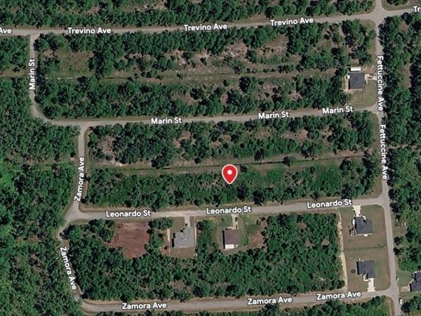 7926 LEONARDO STREET , SEBRING, FL 33872