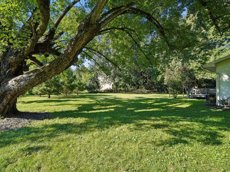 7782 Maxtown Road, Westerville, OH 43082 Photo 64