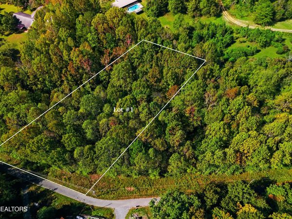 Lot 1 Timber Lake Drive, Cosby, TN 37722