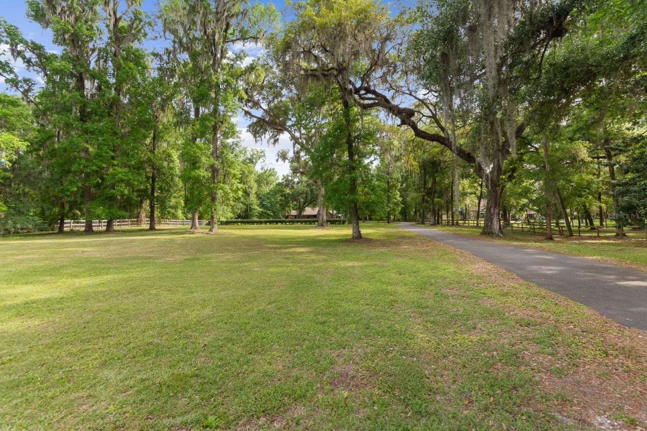 8301 SW 24th Avenue, Gainesville, FL 32607 Photo
