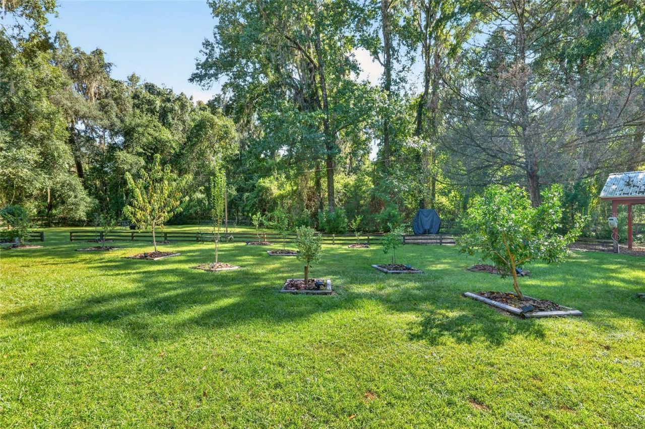 8301 SW 24th Avenue, Gainesville, FL 32607 Photo
