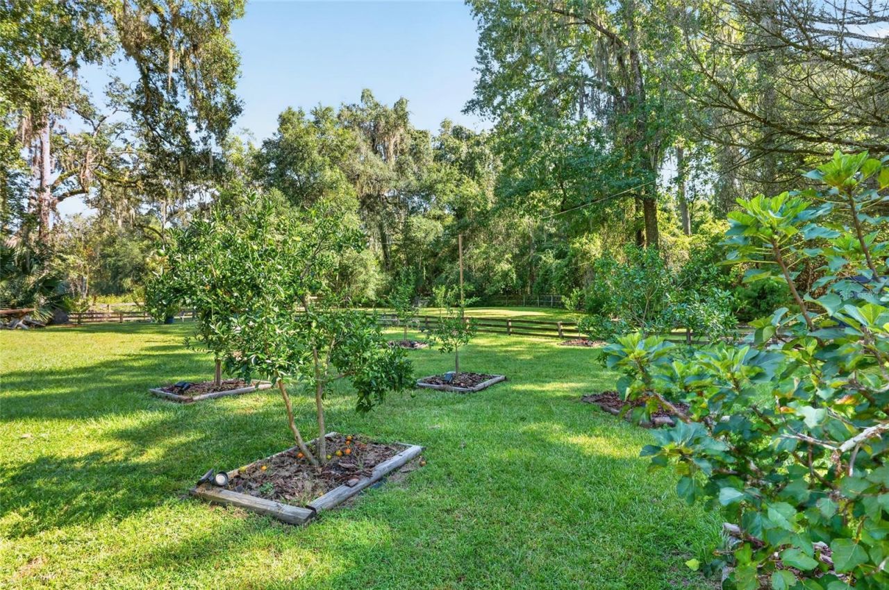 8301 SW 24th Avenue, Gainesville, FL 32607 Photo