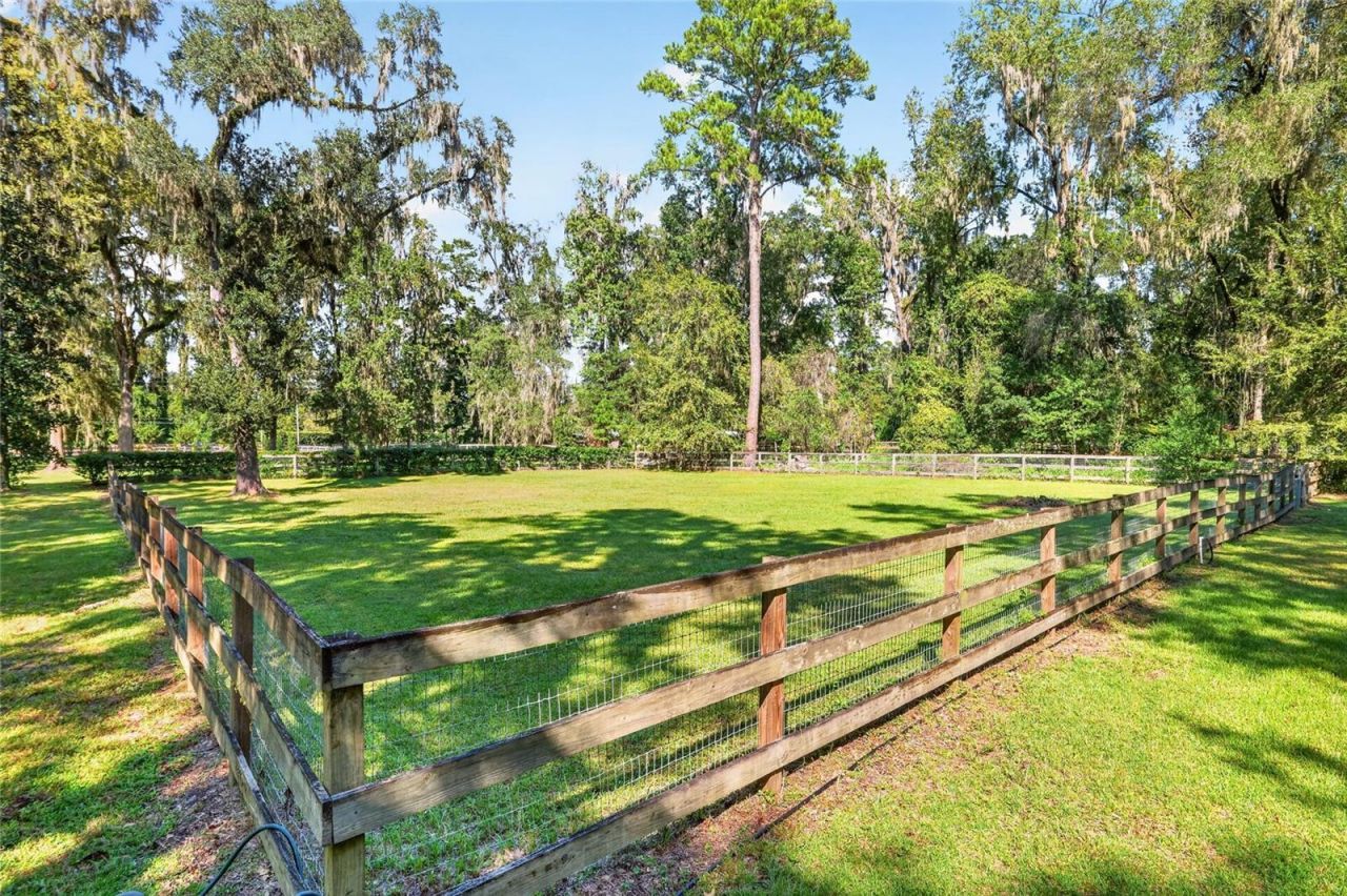 8301 SW 24th Avenue, Gainesville, FL 32607 Photo