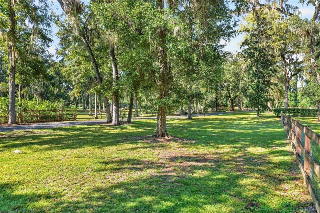 8301 SW 24th Avenue, Gainesville, FL 32607 Photo