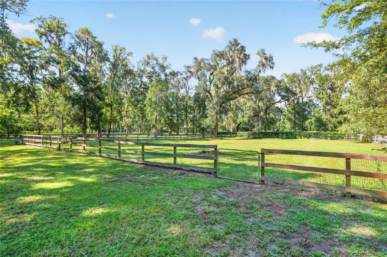 8301 SW 24th Avenue, Gainesville, FL 32607 Photo