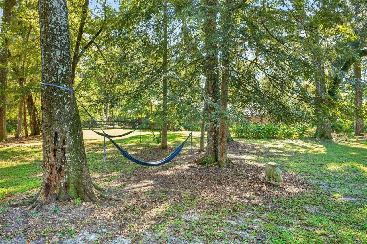8301 SW 24th Avenue, Gainesville, FL 32607 Photo
