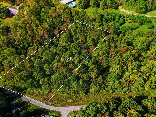Lot 1 Timber Lake Drive, Cosby, TN 37722